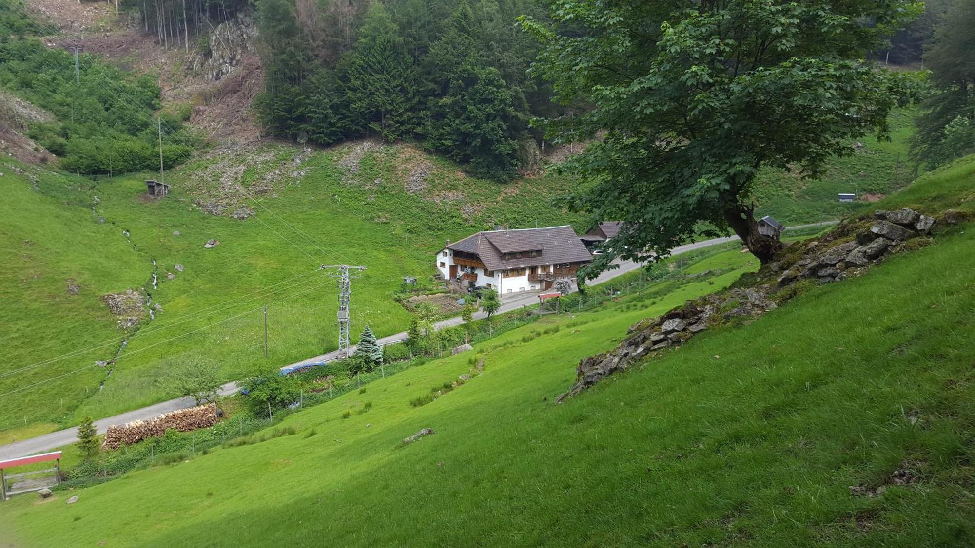 Bauernhaus Im Münstertal Εξωτερικό φωτογραφία