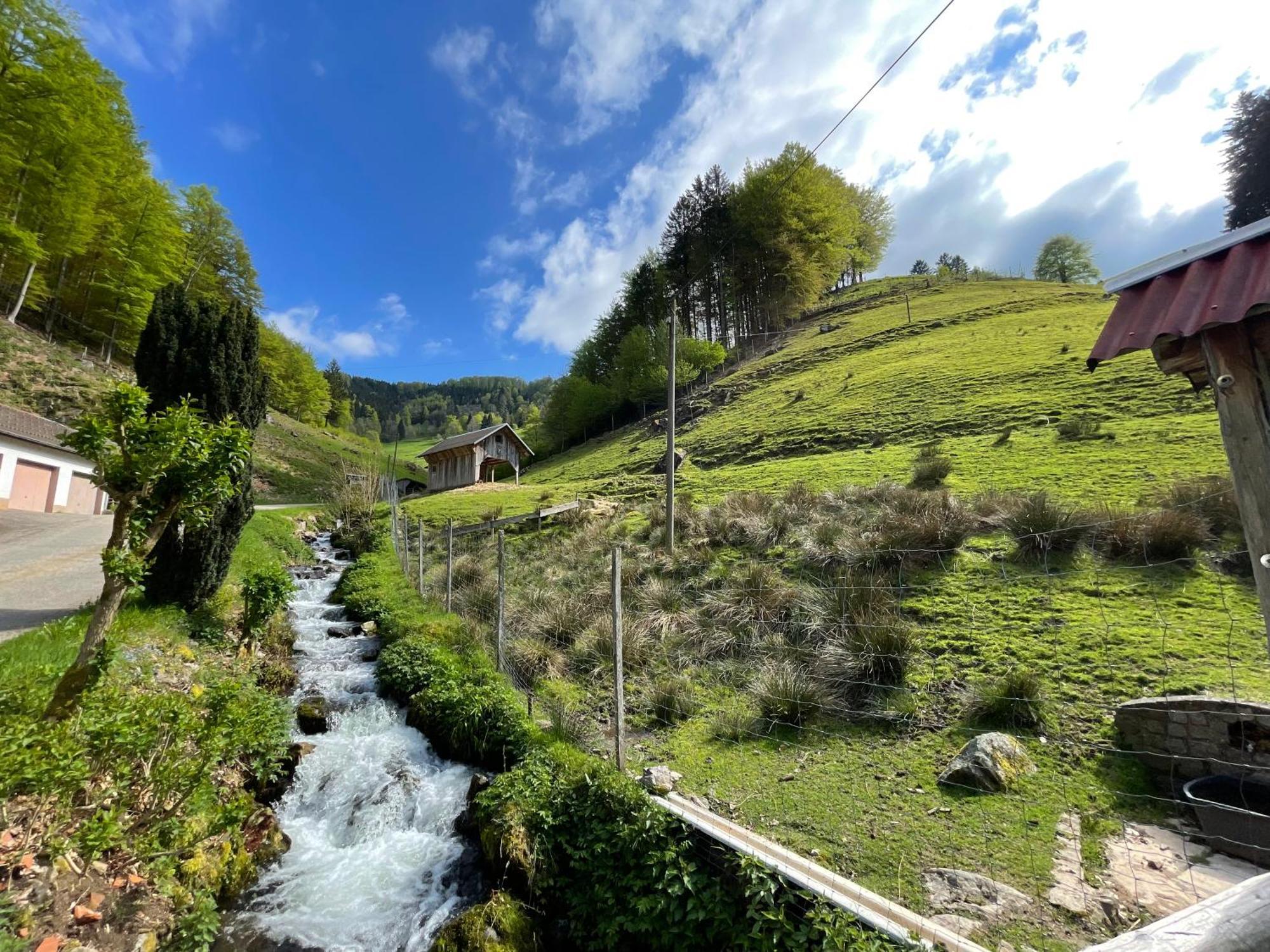 Bauernhaus Im Münstertal Εξωτερικό φωτογραφία