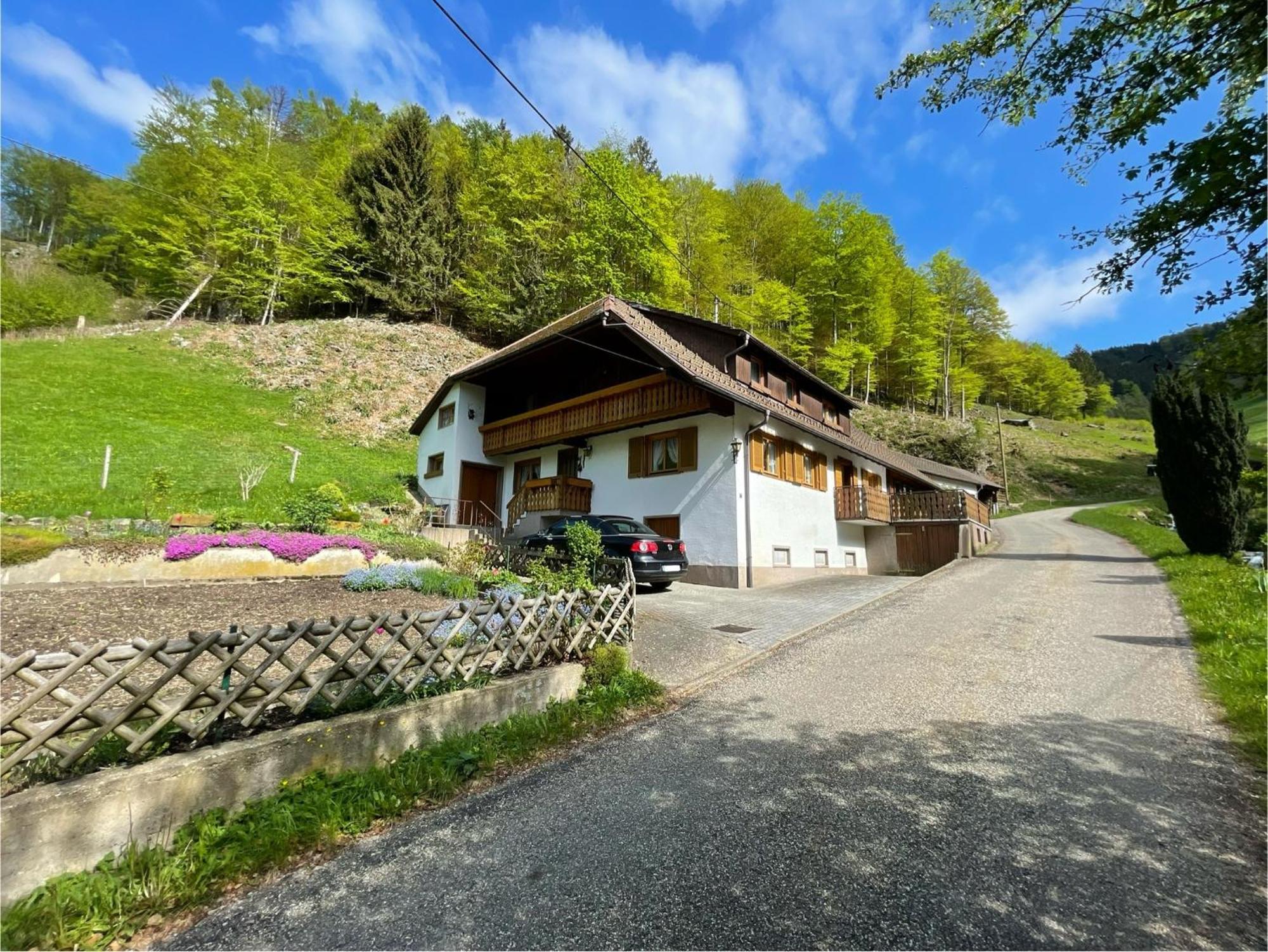 Bauernhaus Im Münstertal Εξωτερικό φωτογραφία