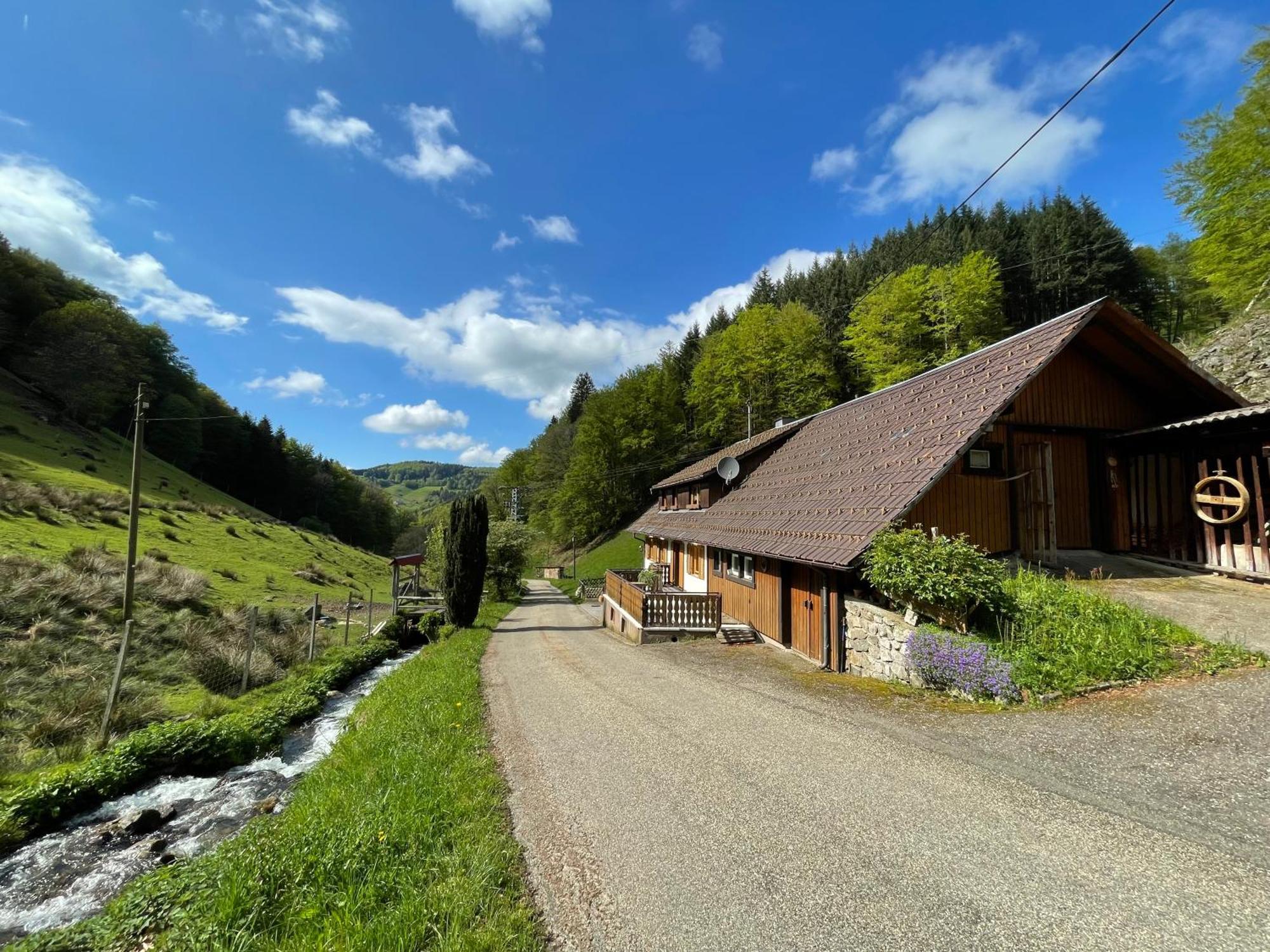 Bauernhaus Im Münstertal Εξωτερικό φωτογραφία