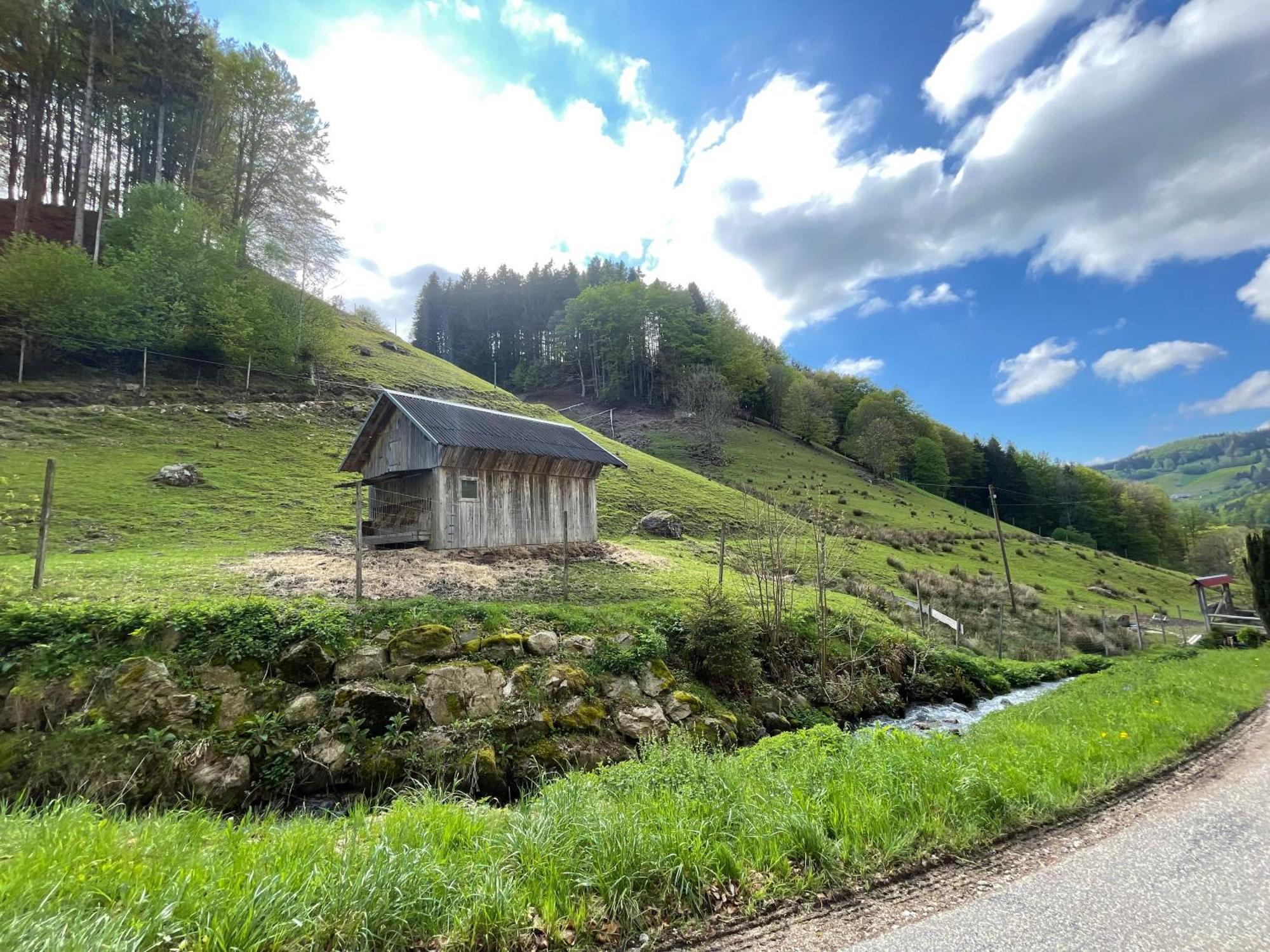 Bauernhaus Im Münstertal Εξωτερικό φωτογραφία