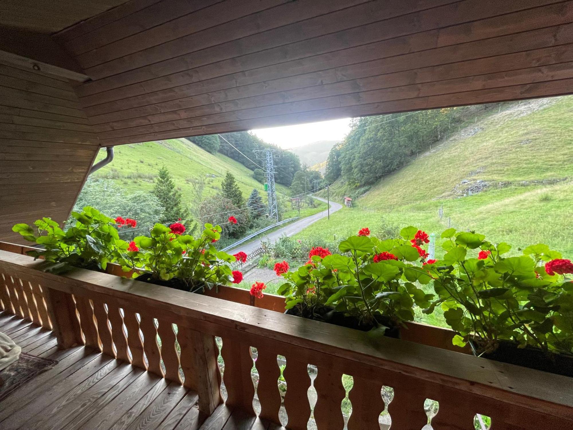 Bauernhaus Im Münstertal Εξωτερικό φωτογραφία