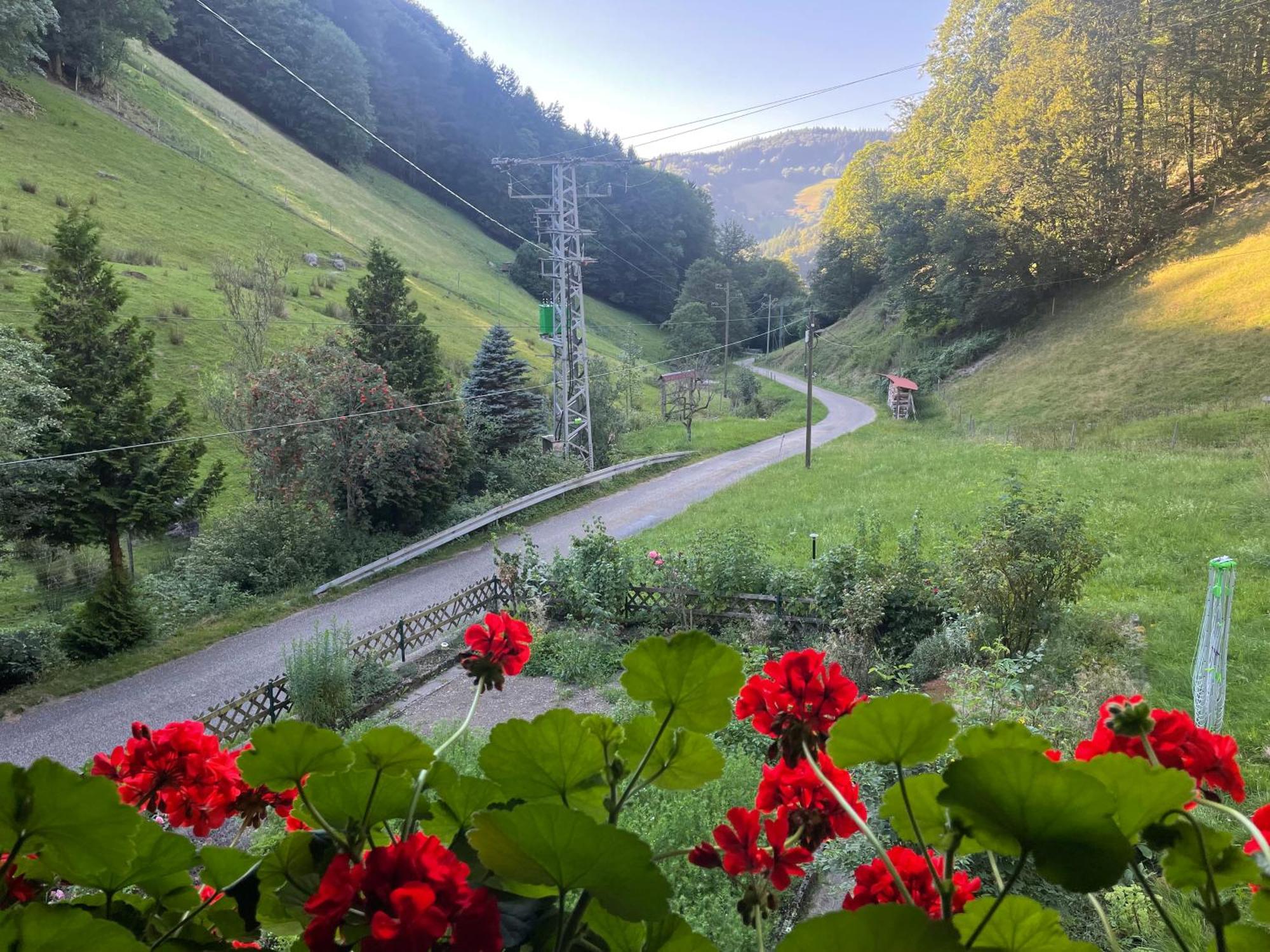 Bauernhaus Im Münstertal Εξωτερικό φωτογραφία