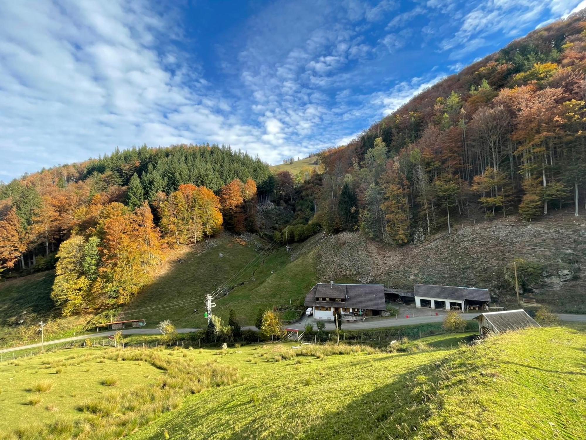 Bauernhaus Im Münstertal Εξωτερικό φωτογραφία